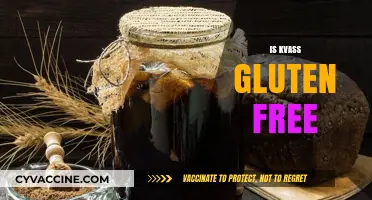 Is Kvass Gluten-Free? Exploring Traditional Fermented Beverage Safety