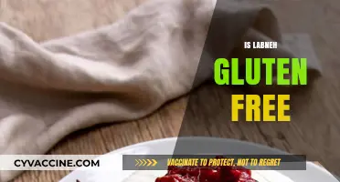 Is Labneh Gluten-Free? A Complete Guide for Dietary Needs