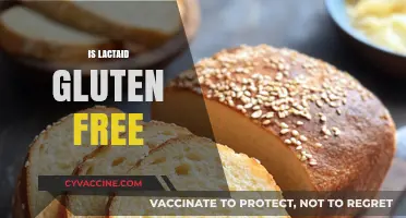 Is Lactaid Gluten-Free? A Comprehensive Guide for Dietary Needs