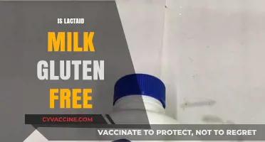 Is Lactaid Milk Gluten-Free? A Clear Answer for Your Diet