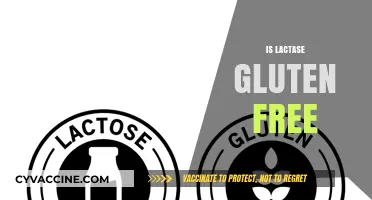 Is Lactase Gluten Free? Understanding Enzymes and Dietary Restrictions