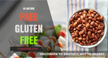 Lactose-Free and Gluten-Free: Understanding the Dietary Connection