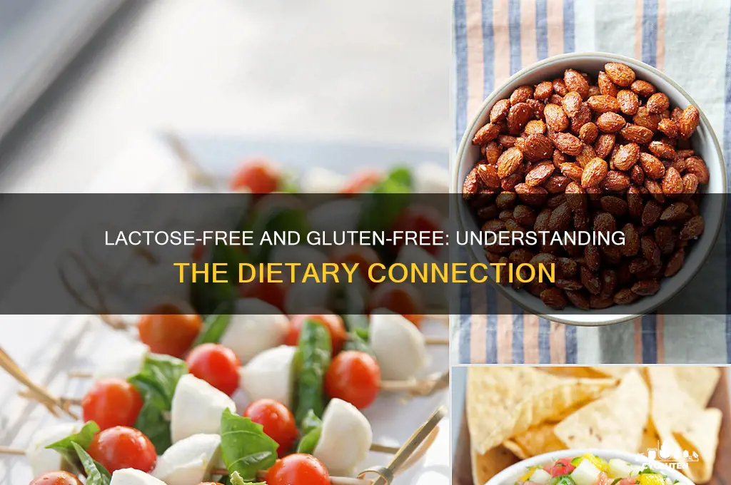 is lactose free gluten free