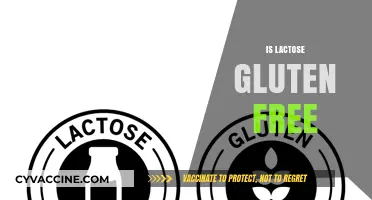 Is Lactose Gluten-Free? Understanding the Difference and Dietary Impact