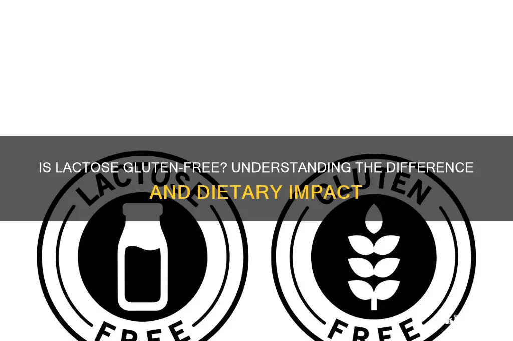 is lactose gluten free