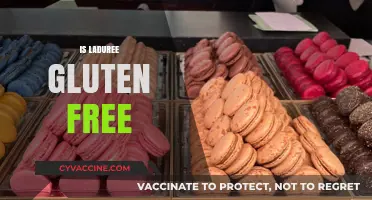 Is Ladurée Gluten-Free? Exploring Macaron Options for Celiac Diets
