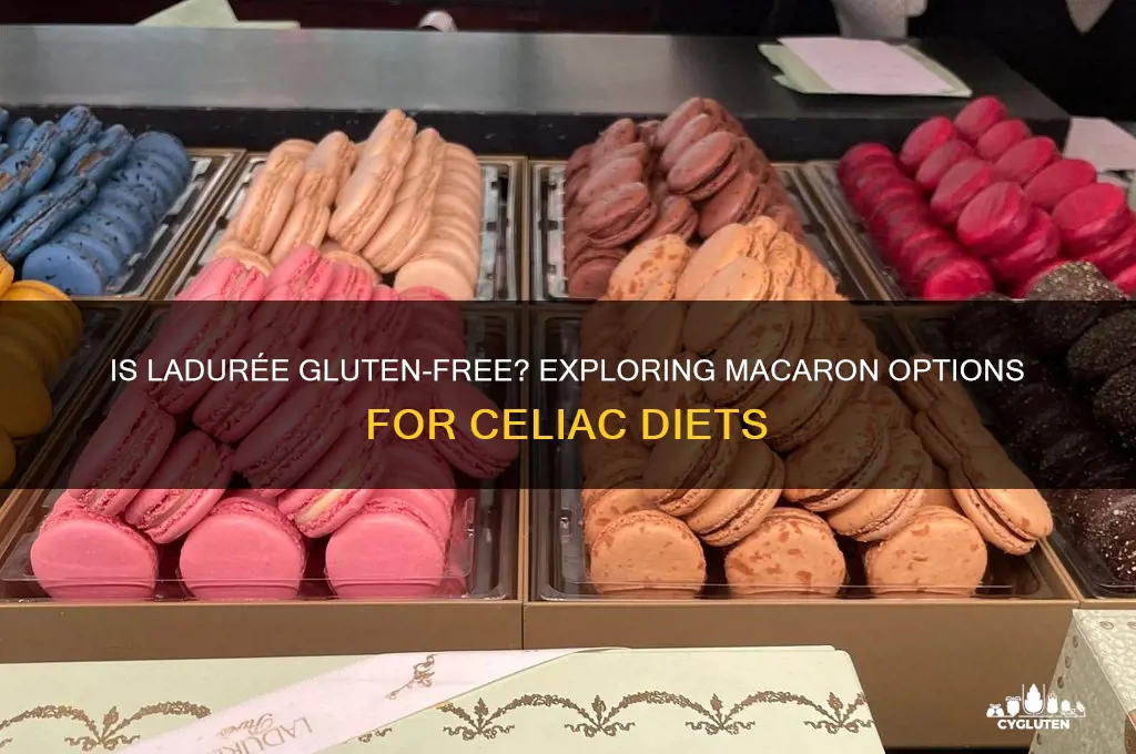 is laduree gluten free