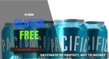 Is Lager Gluten-Free? Exploring Beer Options for Celiac Diets