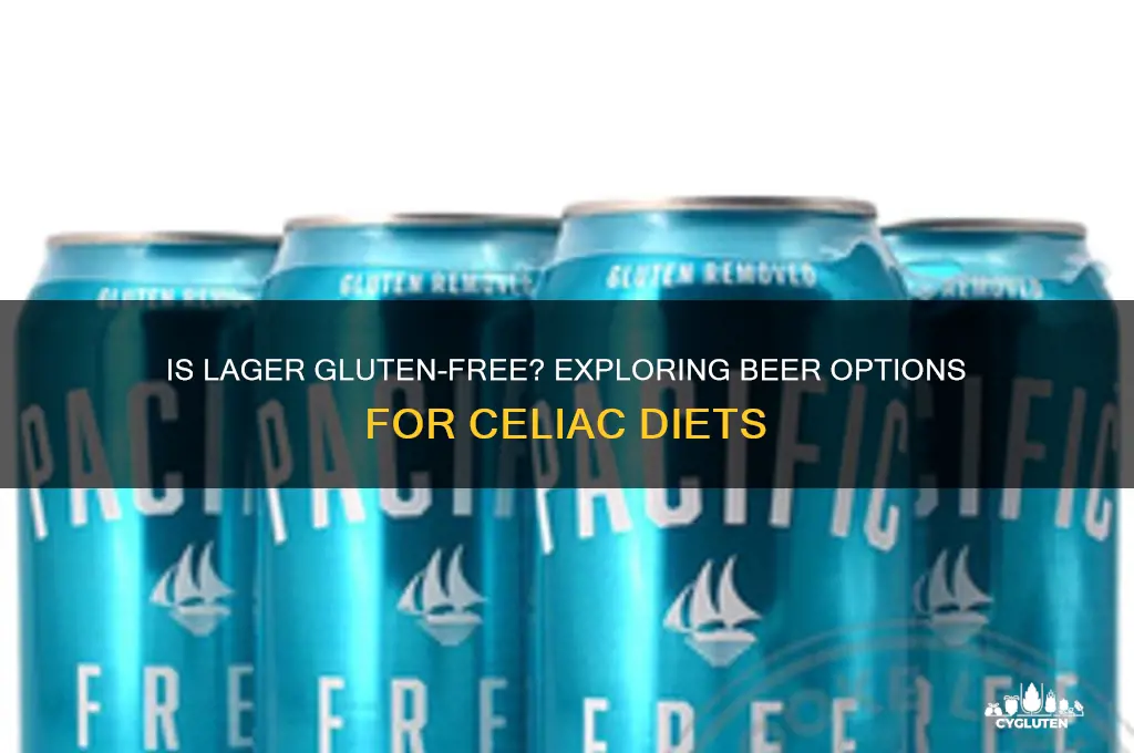 is lager gluten free