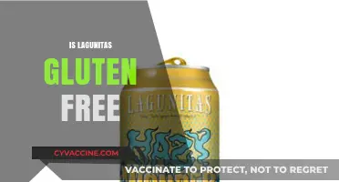Is Lagunitas Gluten-Free? Exploring the Beer's Ingredients and Options