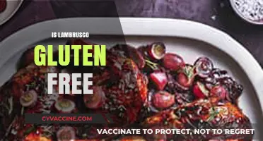 Is Lambrusco Gluten-Free? A Guide to Safe Wine Choices