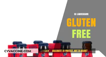Is Landshark Beer Gluten-Free? A Complete Guide for Beer Lovers