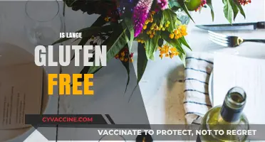 Is Lange Gluten Free? Unraveling the Facts for Your Diet