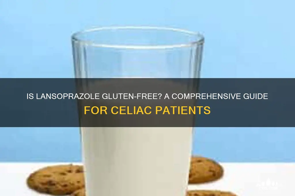 is lansoprazole gluten free