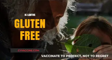 Is Lantus Gluten-Free? A Comprehensive Guide for Diabetics