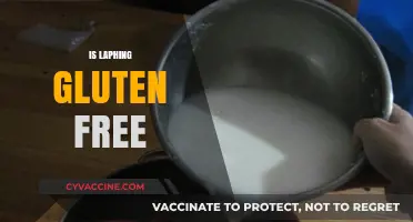 Is Laphing Gluten Free? Exploring This Unique Dish's Ingredients