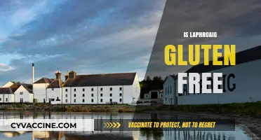 Is Laphroaig Gluten-Free? Exploring the Scotch Whisky's Ingredients