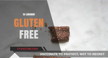 Is Larabar Gluten-Free? A Complete Guide to Ingredients and Safety