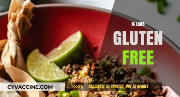 Is Larb Gluten Free? Exploring This Thai Dish's Ingredients