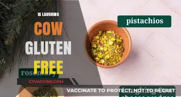 Is Laughing Cow Gluten-Free? A Comprehensive Guide for Cheese Lovers