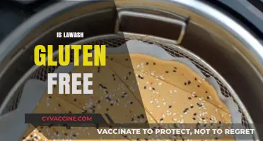 Is Lavash Gluten-Free? Exploring Traditional Flatbread Ingredients and Options