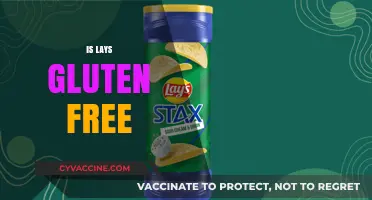 Are Lays Chips Gluten-Free? A Crunchy Snack Fact Check
