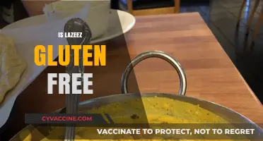 Is Lazeez Gluten-Free? A Comprehensive Guide to Your Dietary Needs