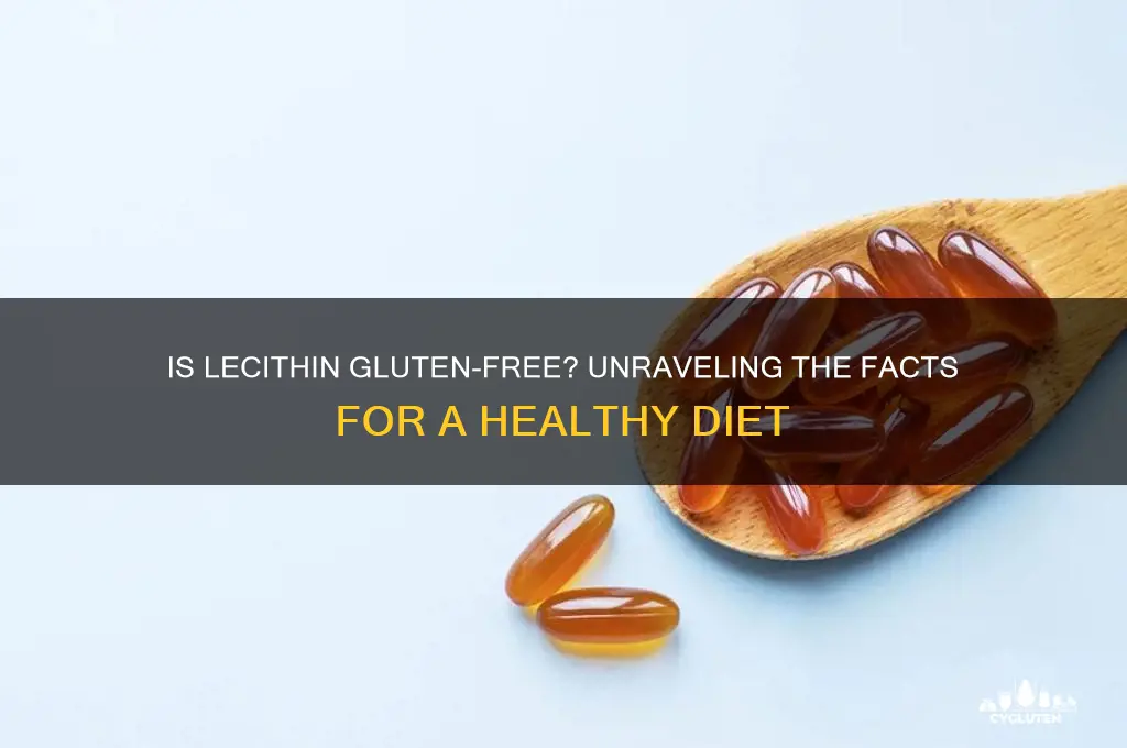 is lecithin gluten-free