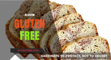 Is Lectin Gluten-Free? Understanding the Difference and Dietary Impact