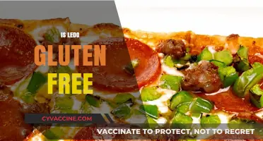 Is Ledo Pizza Gluten-Free? Exploring Options for Celiac Diners