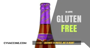 Is Leffe Gluten-Free? Exploring the Beer's Ingredients and Options