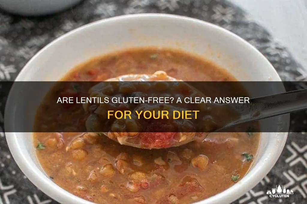 is lentil gluten-free