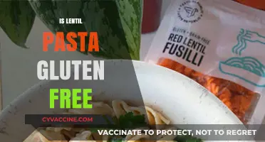 Is Lentil Pasta Gluten-Free? A Healthy Alternative Explained