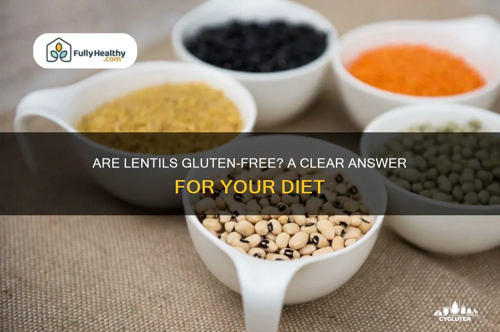 is lentils gluten free