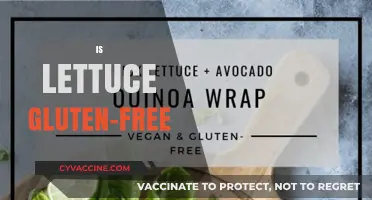 Is Lettuce Gluten-Free? A Clear Answer for Your Diet