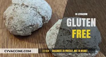Is Levaquin Gluten-Free? A Comprehensive Guide for Patients