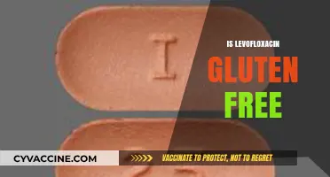 Is Levofloxacin Gluten-Free? A Comprehensive Guide for Patients
