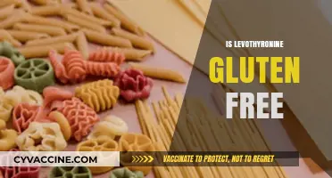 Is Levothyroxine Gluten-Free? Understanding Your Thyroid Medication Ingredients