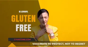 Is Levoxyl Gluten-Free? A Comprehensive Guide for Thyroid Patients