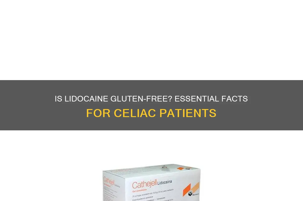 is lidocaine gluten free