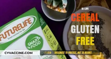Is Life Cereal Gluten-Free? A Complete Guide for Celiac Diets
