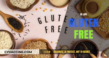 Is Life Gluten Free? Exploring the Reality Beyond the Diet Trend