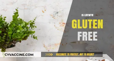 Is Lifewtr Gluten-Free? Unveiling the Truth About This Premium Water