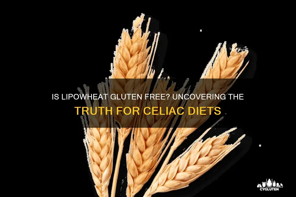 is lipowheat gluten free