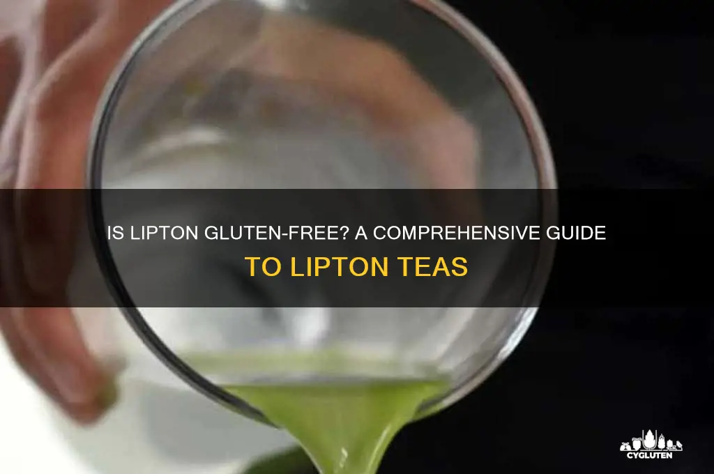 is lipton gluten free