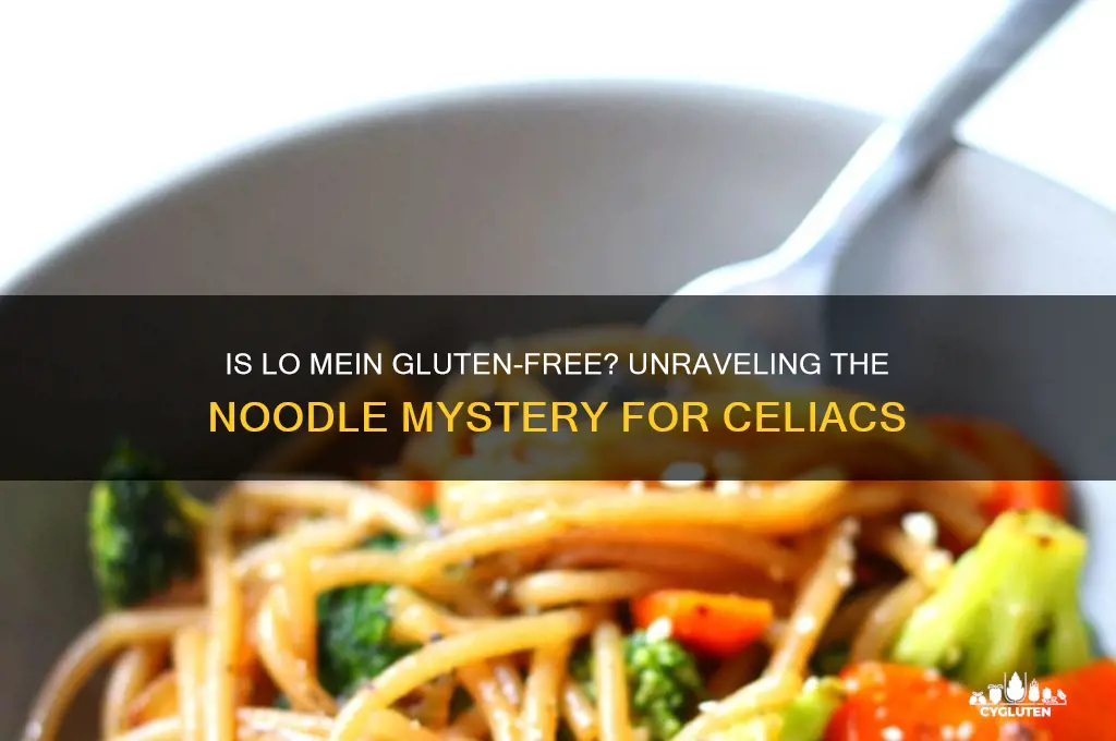 is lo mein gluten free