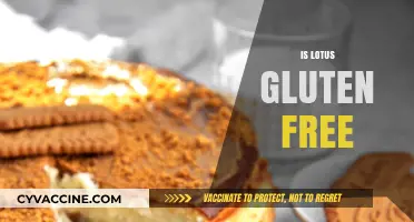 Is Lotus Gluten Free? Exploring the Biscuit's Ingredients and Safety