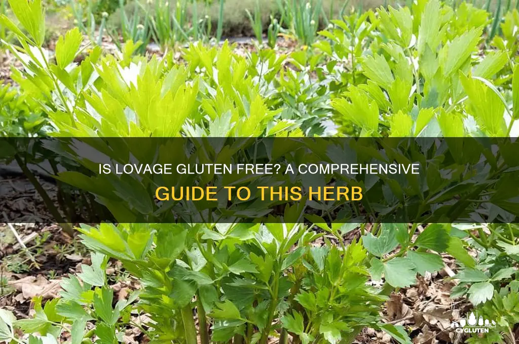 is lovage gluten free