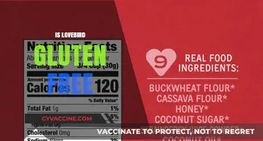 Is Lovebird Gluten-Free? A Comprehensive Guide to Their Diet