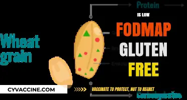 Is Low FODMAP Gluten-Free? Understanding Dietary Differences and Similarities